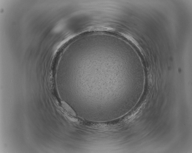 X0000071860971200607141811