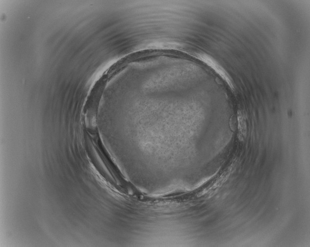 X0000071860972200607141811