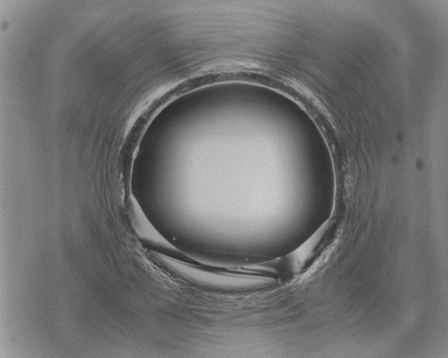 X0000071860973200607141811