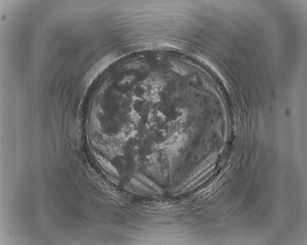 X0000071860975200607141811