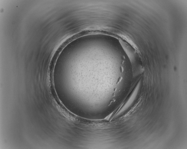 X0000071860976200607141811