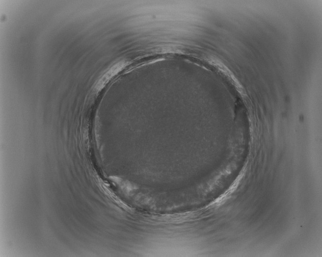 X0000071860977200607141811