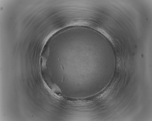 X0000071860980200607141811