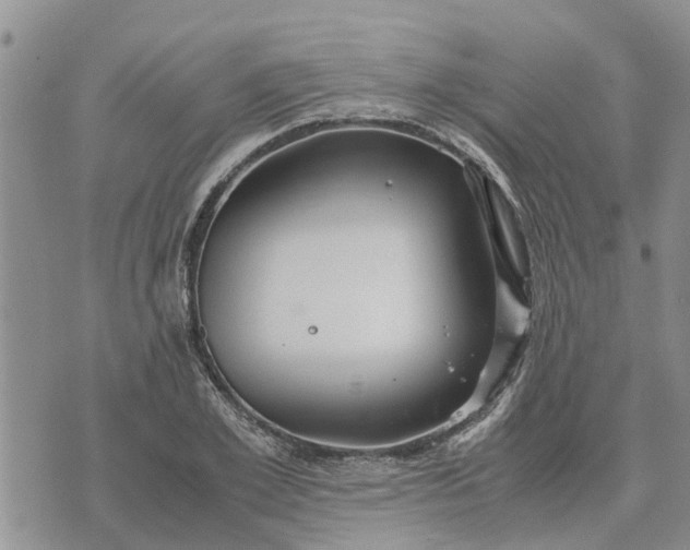 X0000071860981200607141811