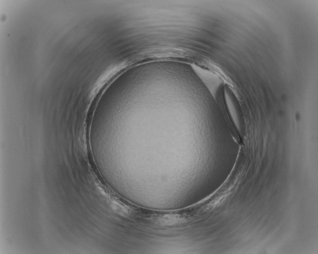 X0000071860986200607141811