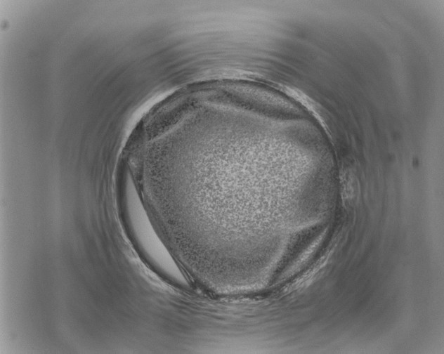 X0000071860987200607141811