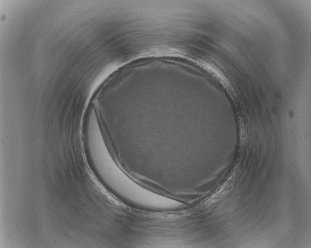 X0000071860990200607141811