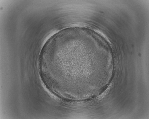 X0000071860991200607141811