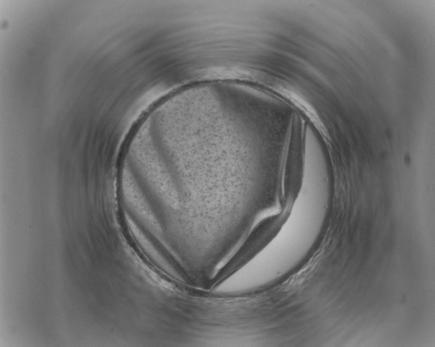 X0000071860992200607141810