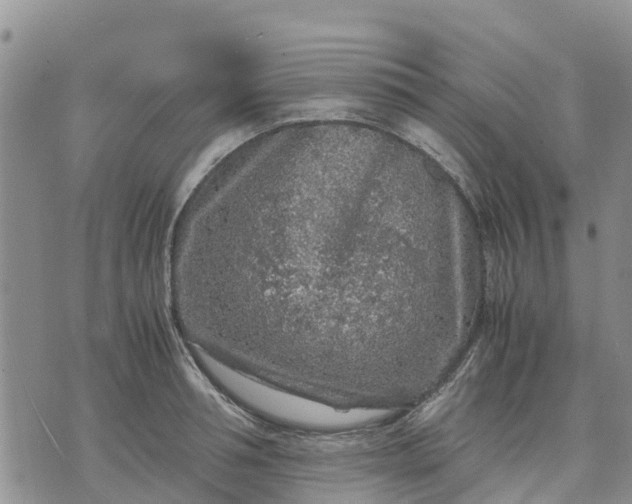 X0000071860994200607141810