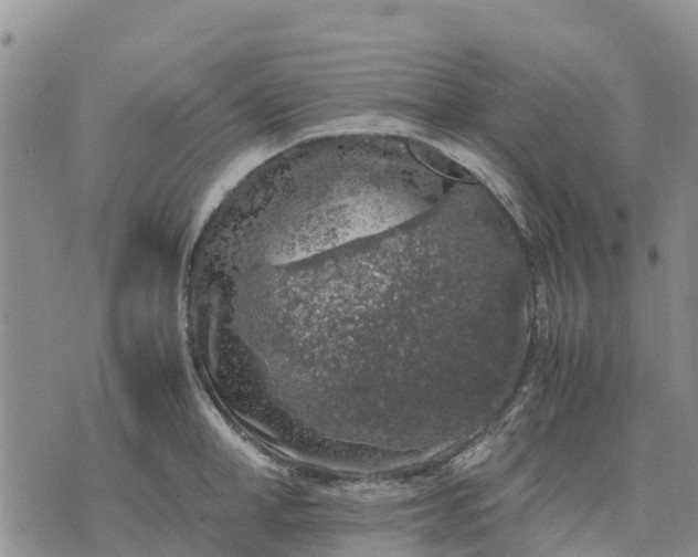 X0000071860998200607141810