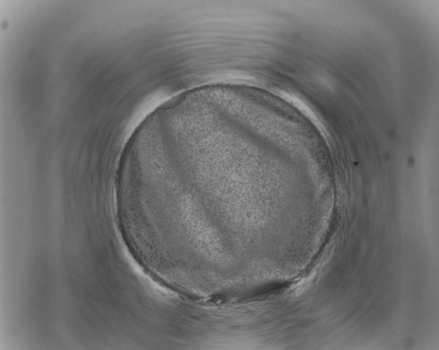 X0000071860999200607141810