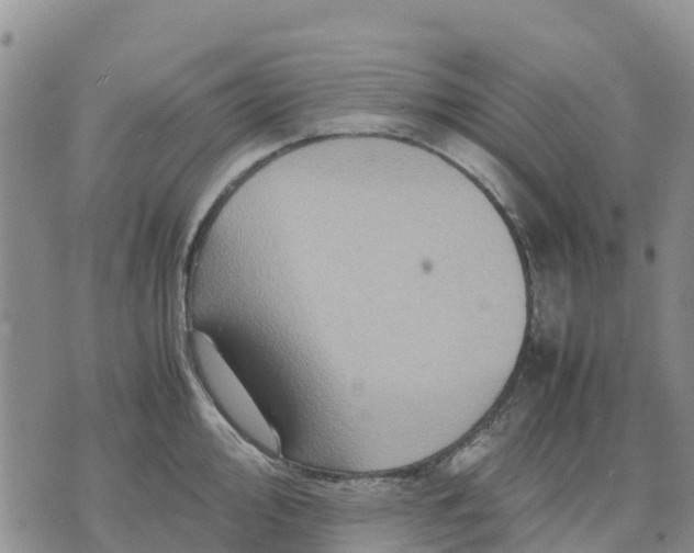 X0000071861000200607141810