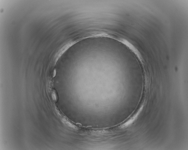 X0000071861001200607141810