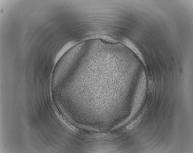 X0000071861002200607141810