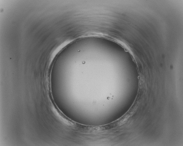 X0000071861003200607141810