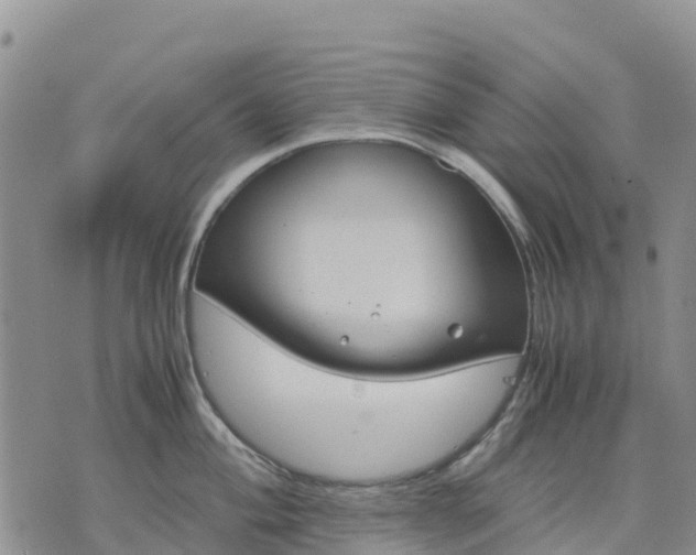 X0000071861004200607141810