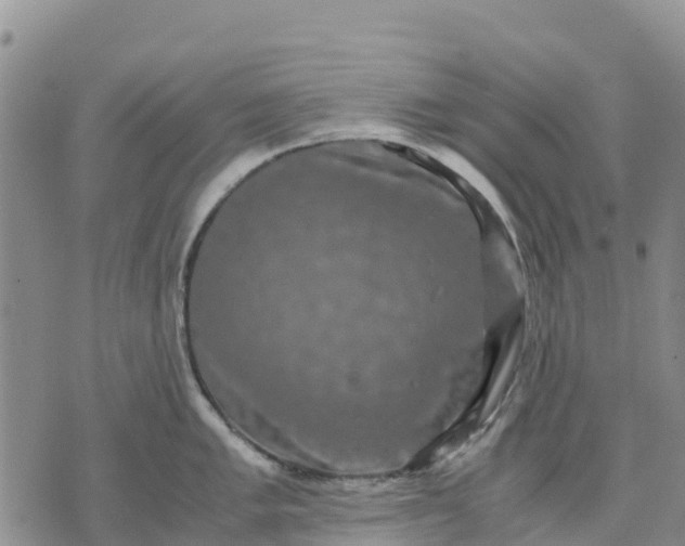 X0000071861005200607141810