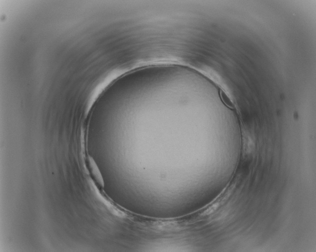 X0000071861006200607141810