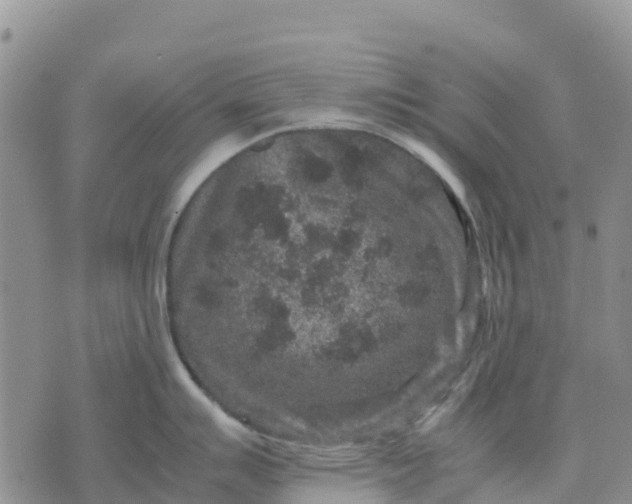 X0000071861007200607141810