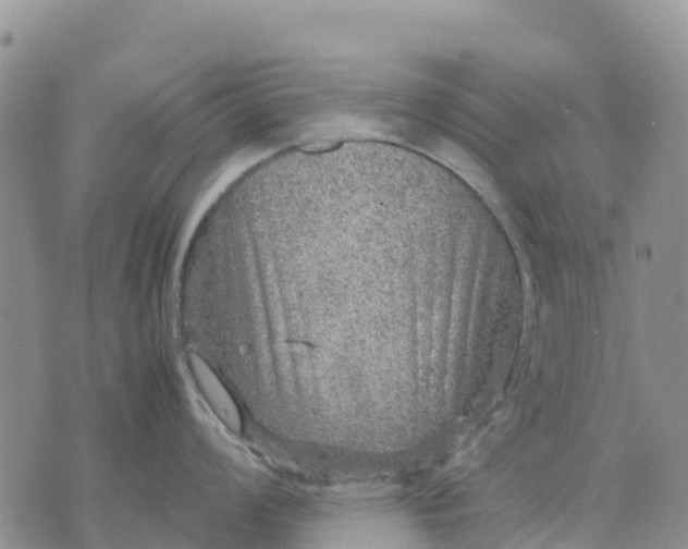 X0000071861008200607141810