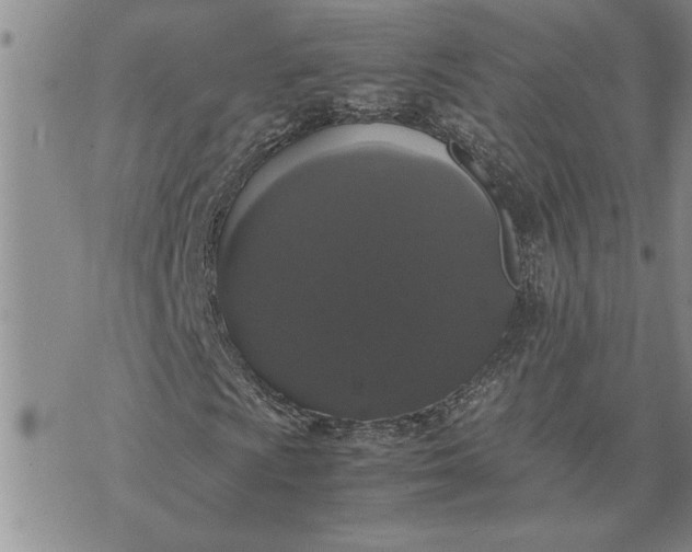 X0000071861009200607141809