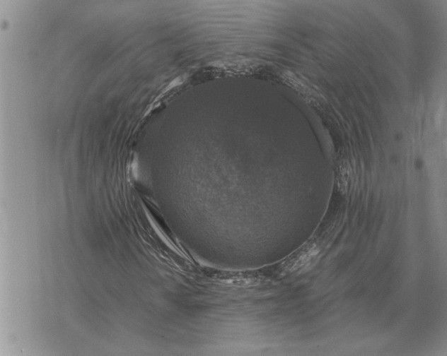 X0000071861010200607141809