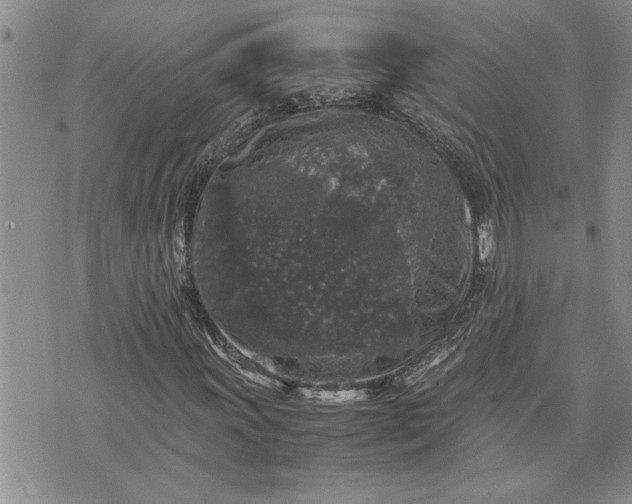 X0000071861011200607141809