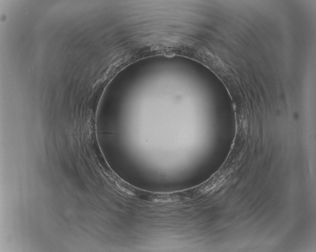 X0000071861012200607141810