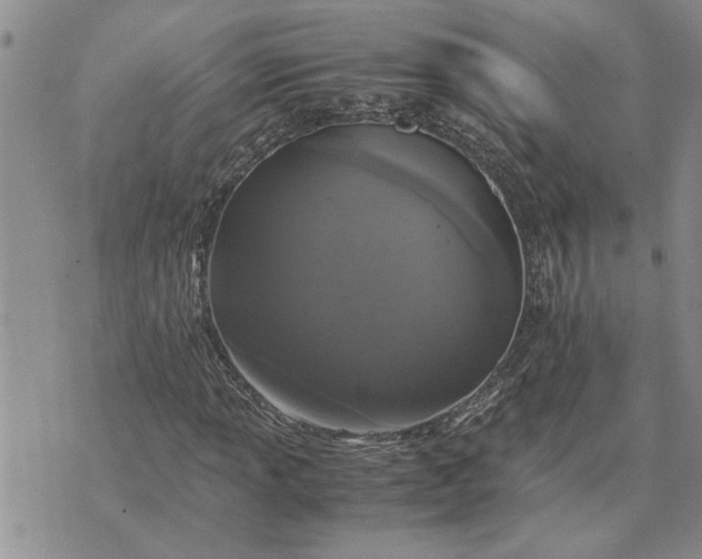 X0000071861013200607141810