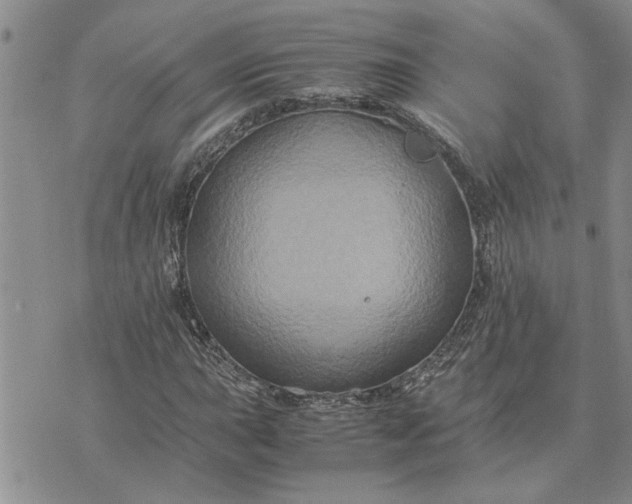 X0000071861015200607141810