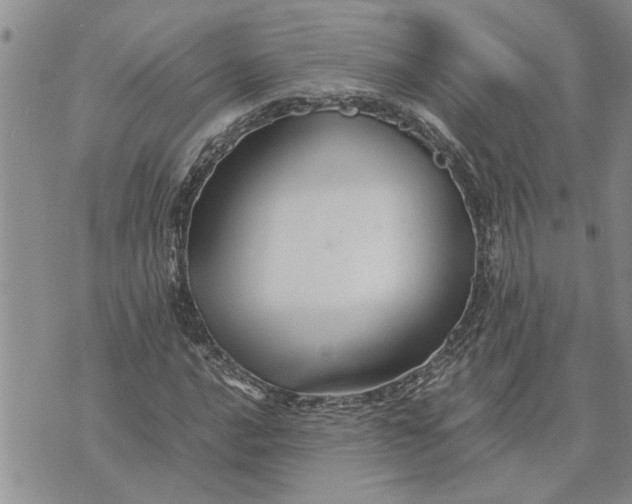 X0000071861016200607141810