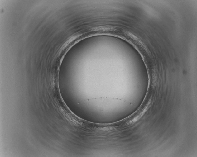 X0000071861017200607141810