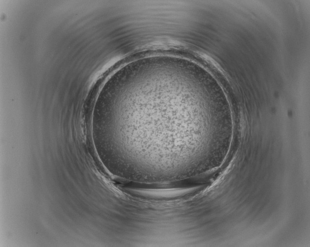 X0000071861018200607141810