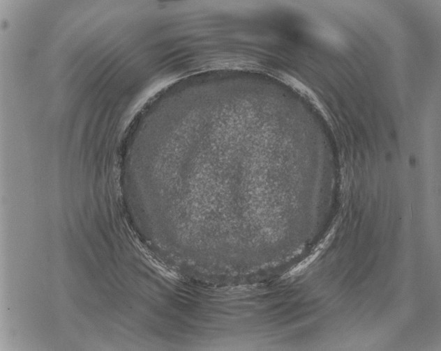 X0000071861019200607141810