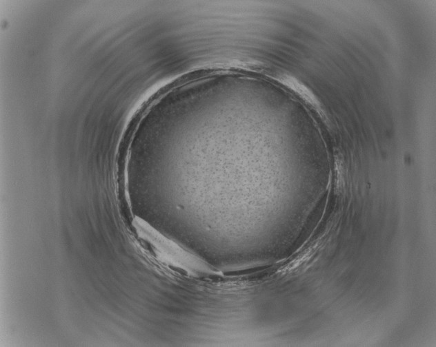 X0000071861020200607141810