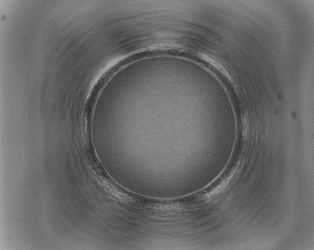 X0000071861021200607141810