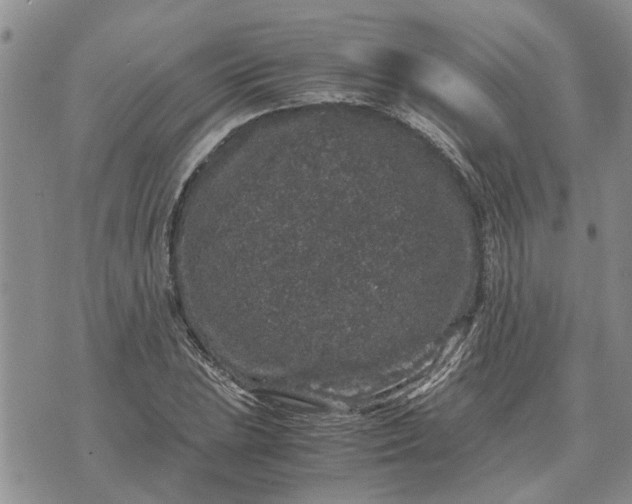 X0000071861023200607141810