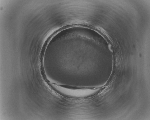 X0000071861024200607141810