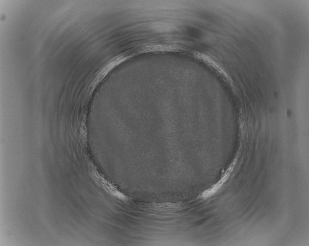 X0000071861025200607141810