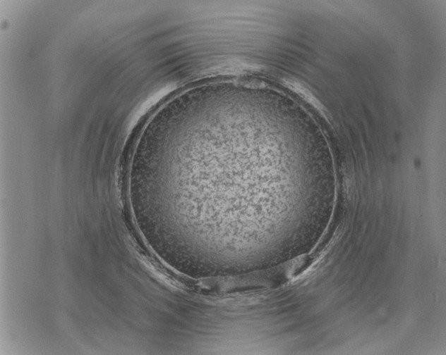 X0000071861026200607141810