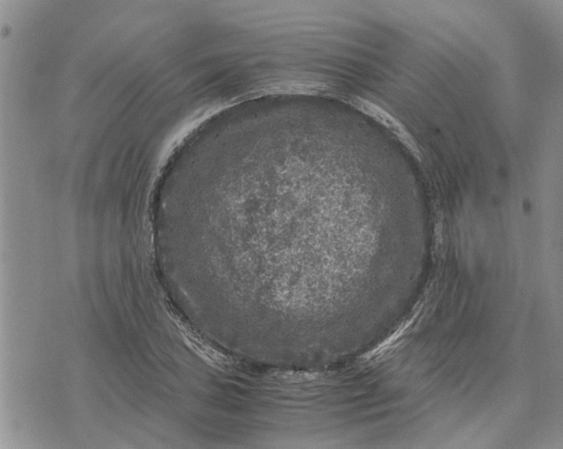 X0000071861027200607141810