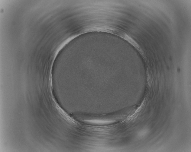 X0000071861028200607141810