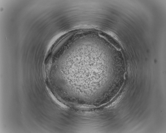 X0000071861030200607141810