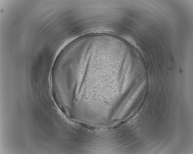 X0000071861032200607141810