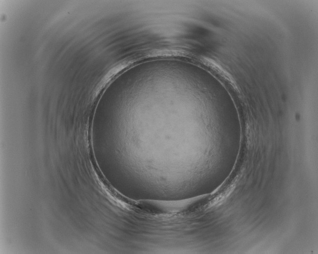 X0000071861033200607141810