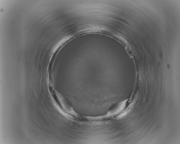 X0000071861034200607141810