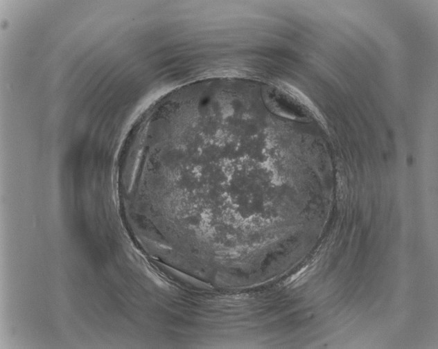 X0000071861035200607141810