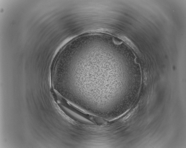 X0000071861036200607141810