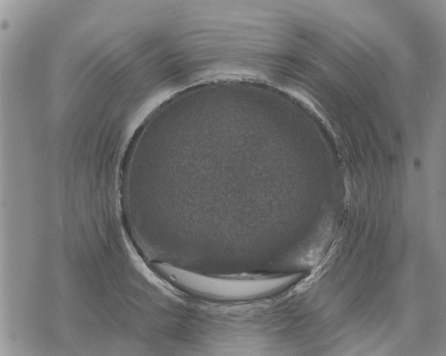 X0000071861038200607141810